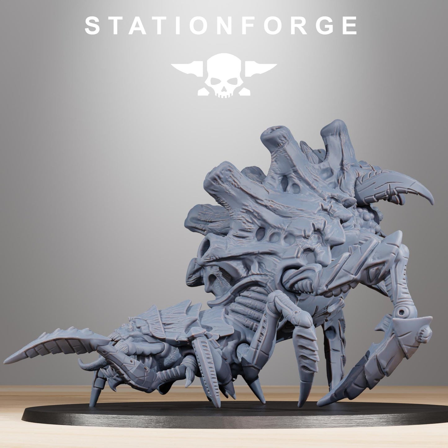 Xenarid Spider by Station Forge
