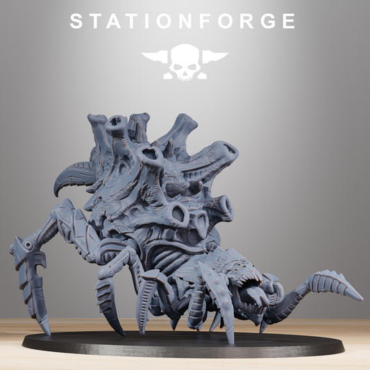 Xenarid Spider by Station Forge